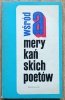 Wśród amerykańskich poetów